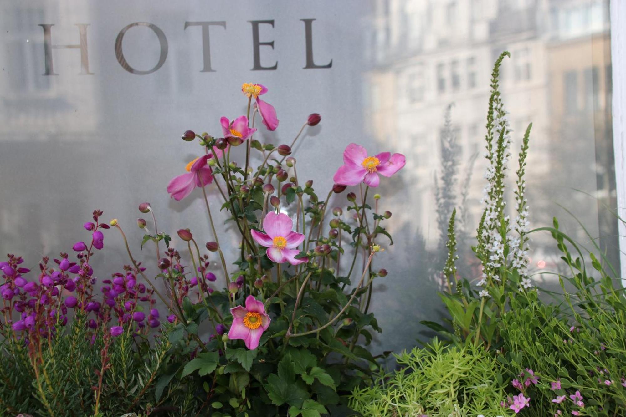Hanseat-Hotel Ντίσελντορφ Εξωτερικό φωτογραφία